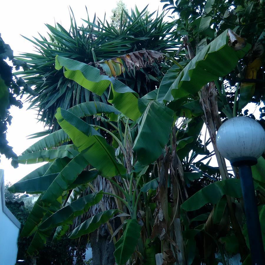 Aragorn Paradise Garden Moraḯtika Luaran gambar
