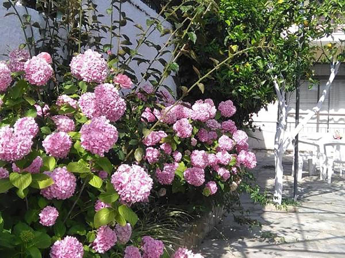 Aragorn Paradise Garden Moraḯtika Luaran gambar