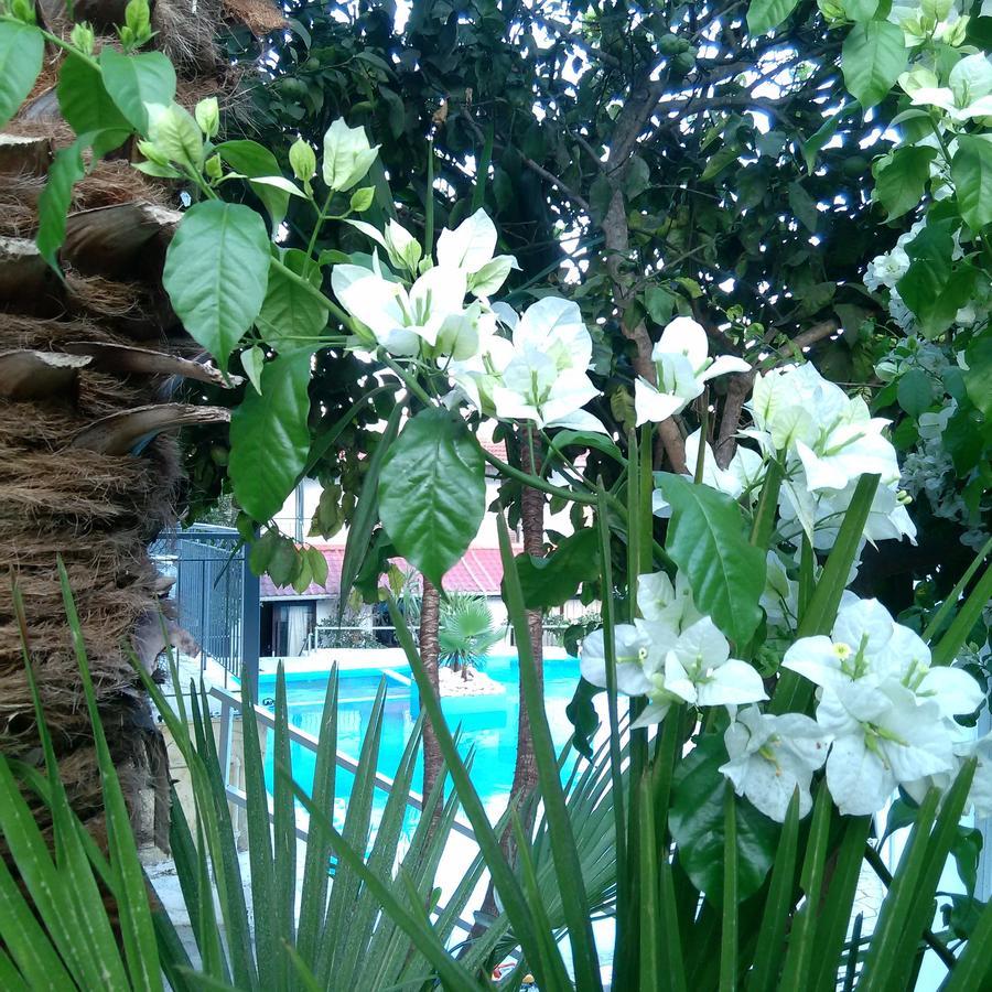Aragorn Paradise Garden Moraḯtika Luaran gambar